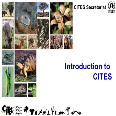 CITES_Introdfuction.ppt,...................