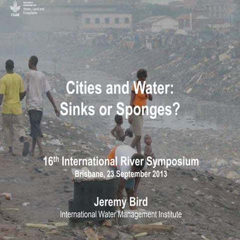 Cities and Water: Sinks or Sponges?