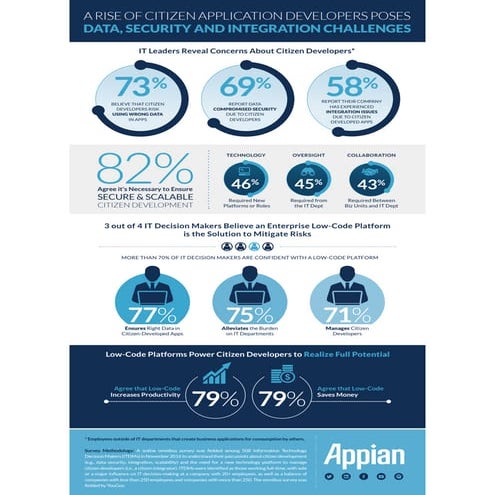 A Rise of Citizen Application Developers