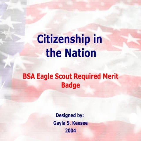Citizenship In The Nation