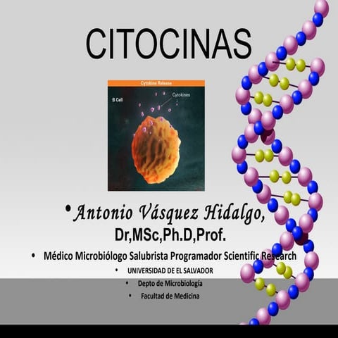 Citocinas