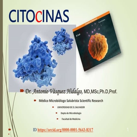 Citocinas2023.ppt