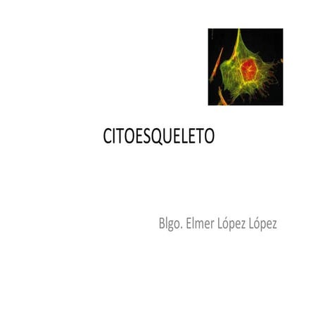 Citoesqueleto
