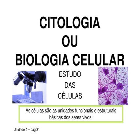 Citologia e membrana celular