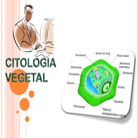 Citologia vegetal 