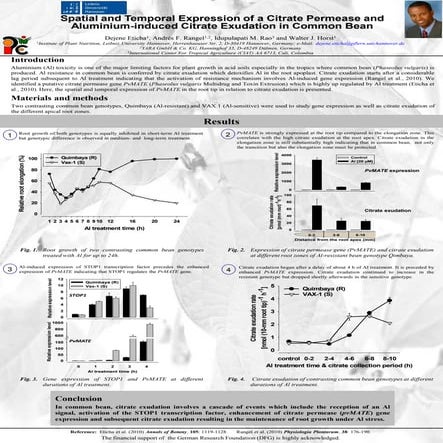Spatial and Temporal Expression of a Citrate Permease and Aluminium-induced C...