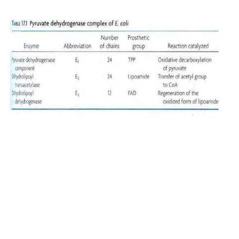 Citric acid cycle extensive and for more understanding 