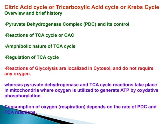 Citric acid cycle