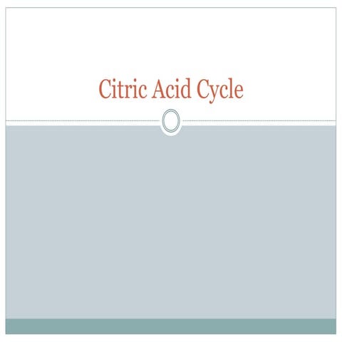 Citric acid cycle