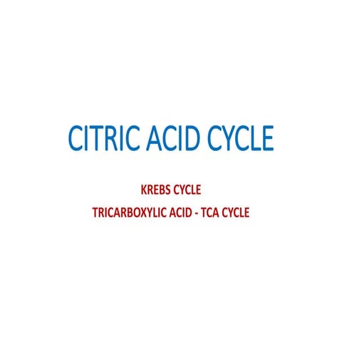 Kreb's cycle (Citric acid cycle, TCA cycle)
