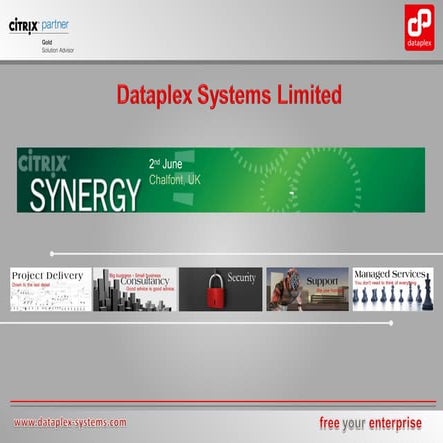 Dataplex Presentation 25022010 | PDF