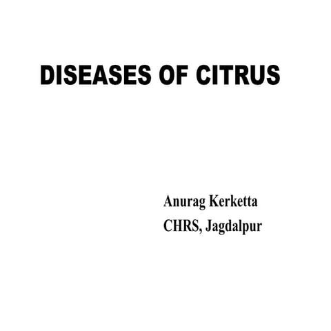 Diseases of Citrus