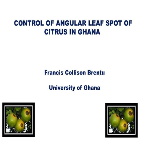 CONTROL OF ANGULAR LEAF SPOT OF CITRUS IN GHANA