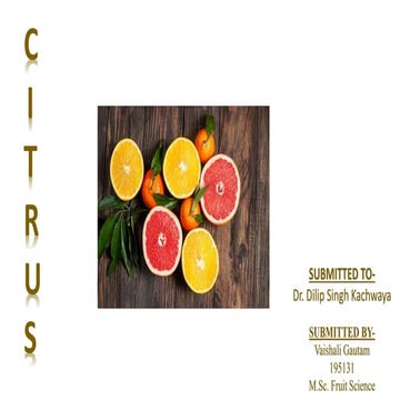 Citrus presentation