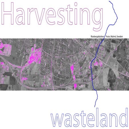 City As Biotope Presentasjon