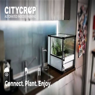 City crop at Open Coffee #87