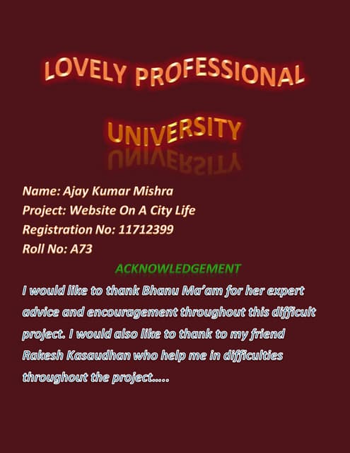 City life project by ajay mishra121