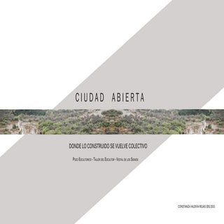 Ciudadabierta constanzavaldiviarojas