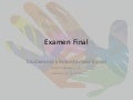 Examen Final: Ciudadanía y Voluntariado Social