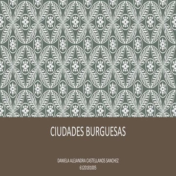 Ciudades burguesas