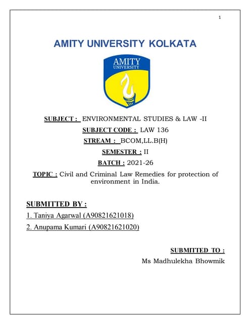 civil and criminal remedies for protection of environment.docx