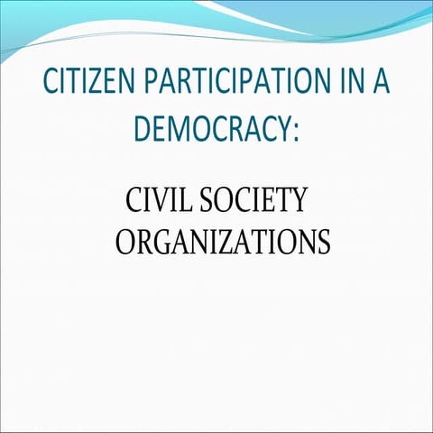 Civil service NGO sector on Participation