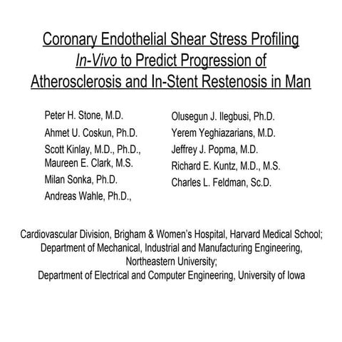 Acc vp-org 3-02 stone