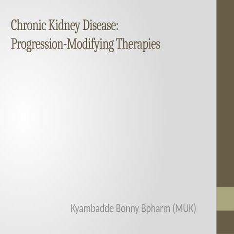 Chronic Kidney Disease, Everything you need to know.pptx