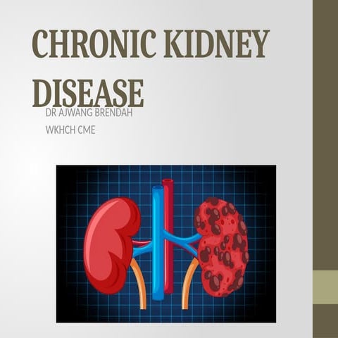 CHRONIC KIDNEY DISEASE AND THE TREATMENT GOALS
