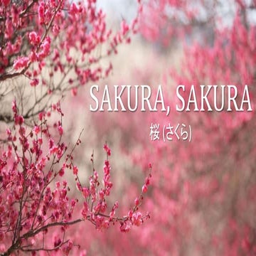 Sakura, Sakura "Cherry Blossoms" (Japanese Folk Song) For Grade 8, MAPEH (Mus...