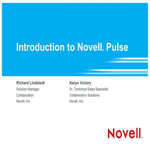 Introduction to Novell Pulse