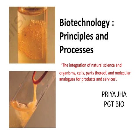 CL12_ Biotechnology_Principles and Process_Priya Jha.pdf