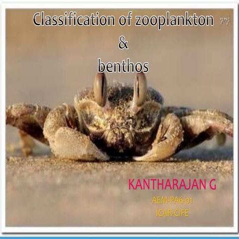 Claasification of zooplankton and Benthos