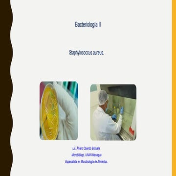 CLACE 1 de Bacterias Gram postivas de importancia clinica.pptx