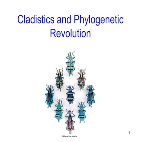 Cladistics in taxonomy.ggggggggddccc@%12367>ppt