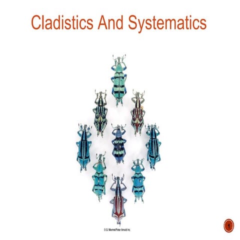Cladistic systematics