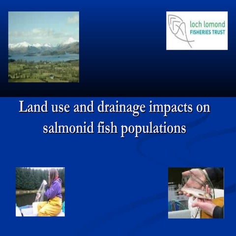 2013 MASTS eposter - coastal salmon agent-based model | PDF