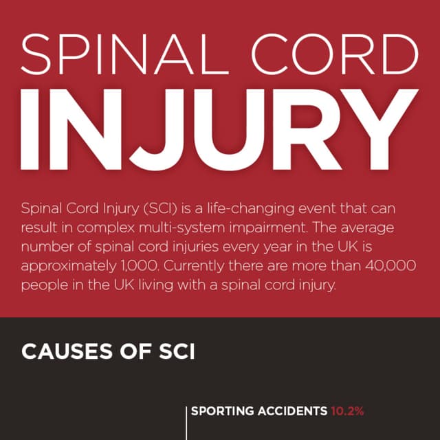 Spinal Cord Injury Infographic | PDF