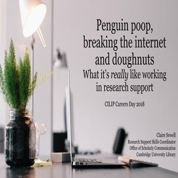 Penguin Poop, Breaking the Internet and Doughnuts: What It's Really Like Work...