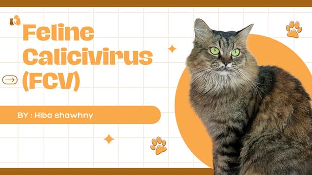 Feline calicivirus fcv presentation for vet students | PDF