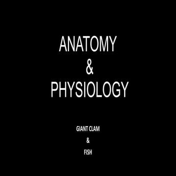 Anatomy & Physiology - Giant Clam & fish