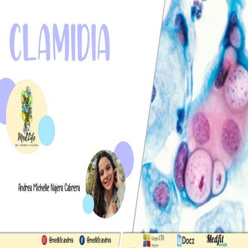 Enfermedad de transmision sexual: Clamidias | PDF