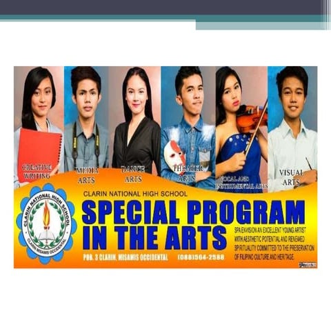 Clarin NHS SPA Accomplishment Report