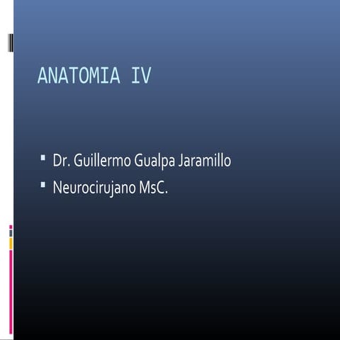 Clase Docente-Neuroanatomía 4B