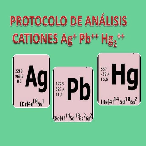 Clase 4-marcha del grupo 1