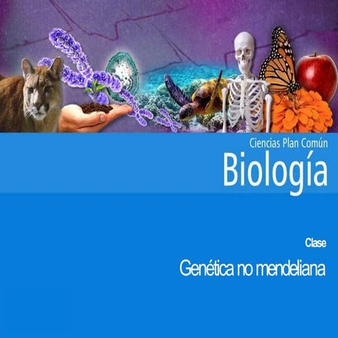 evoluciòn...............................