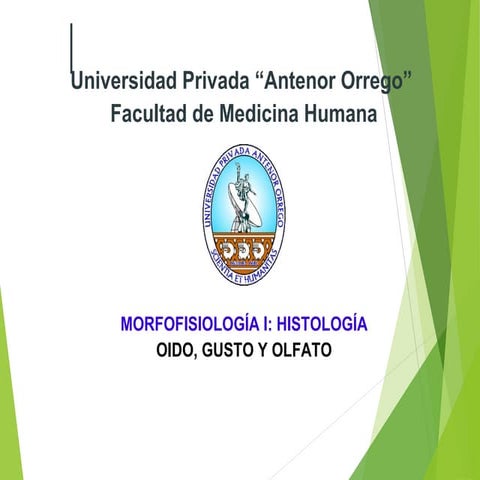 Histologia de oido-gusto-olfato