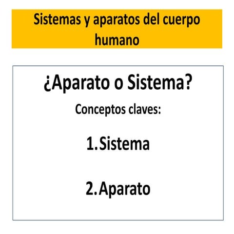   Anatomia Sistemas o aparatos ¿?