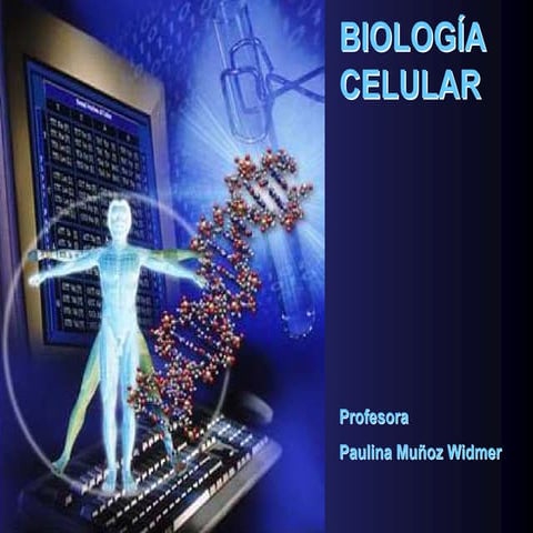 Clase 02   compsoción química molecular de los organismos - b