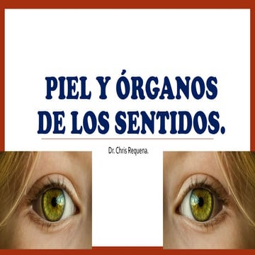 El sentido del tacto | ODP